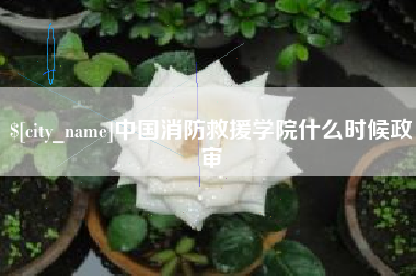 枣阳中国消防救援学院什么时候政审