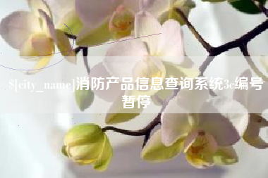 枣阳消防产品信息查询系统3c编号暂停