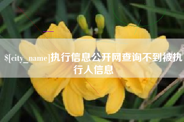 枣阳执行信息公开网查询不到被执行人信息