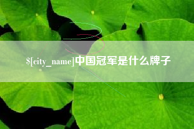 枣阳中国冠军是什么牌子