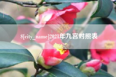 枣阳2021年九宫对照表