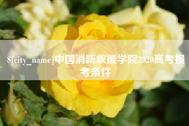枣阳中国消防救援学院2020高考报考条件