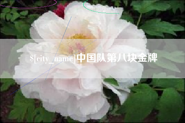 枣阳中国队第八块金牌