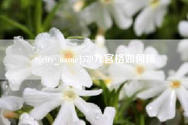 枣阳579九宫格如何排