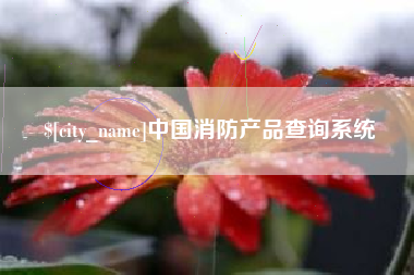 枣阳中国消防产品查询系统