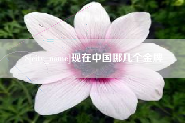 枣阳现在中国哪几个金牌