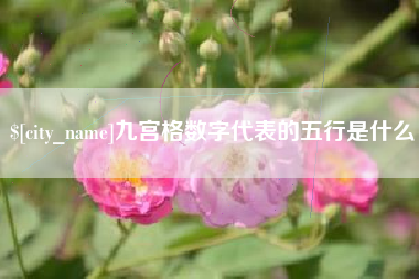 枣阳九宫格数字代表的五行是什么