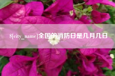 枣阳全国的消防日是几月几日