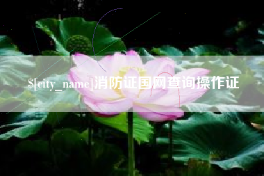 枣阳消防证国网查询操作证