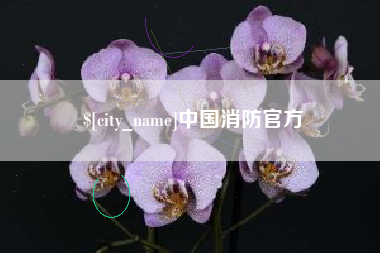 枣阳中国消防官方