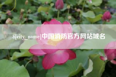 枣阳中国消防官方网站域名