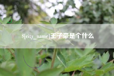 枣阳王子豪是个什么