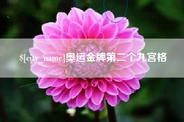 枣阳奥运金牌第二个九宫格