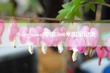 枣阳中国5000米国家记录