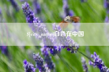枣阳白色在中国