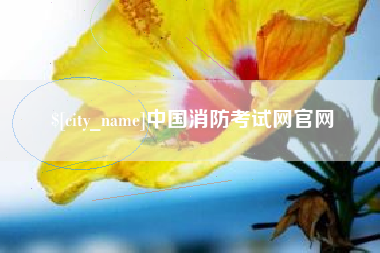 枣阳中国消防考试网官网