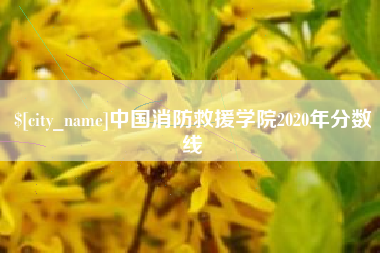 枣阳中国消防救援学院2020年分数线
