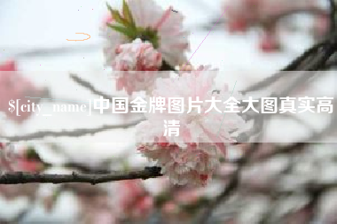 枣阳中国金牌图片大全大图真实高清