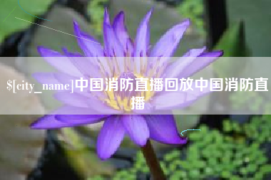 枣阳中国消防直播回放中国消防直播