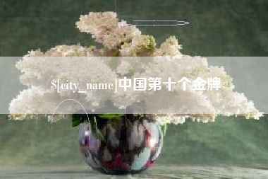 枣阳中国第十个金牌