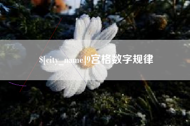 枣阳9宫格数字规律