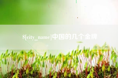 枣阳中国的几个金牌