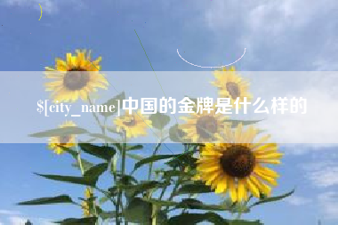 枣阳中国的金牌是什么样的