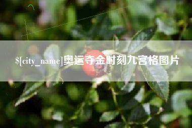 枣阳奥运夺金时刻九宫格图片