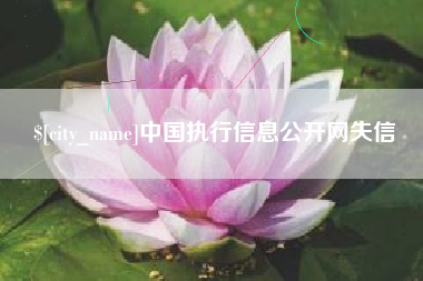 枣阳中国执行信息公开网失信