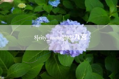 枣阳2022九宫