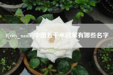 枣阳中国五千米冠军有哪些名字