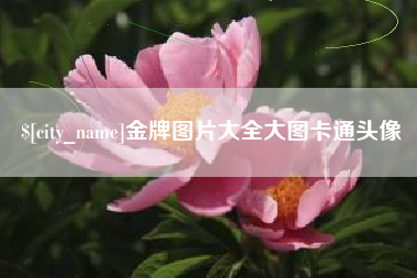 枣阳金牌图片大全大图卡通头像