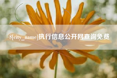 枣阳执行信息公开网查询免费