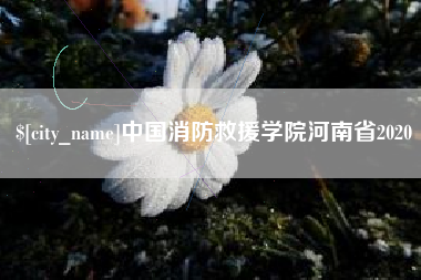 枣阳中国消防救援学院河南省2020